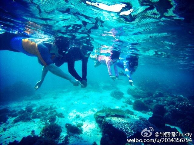 玲珑轮胎新提交“玲珑”商标注册申请